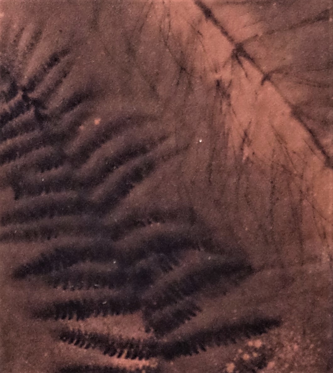 velvet detail back